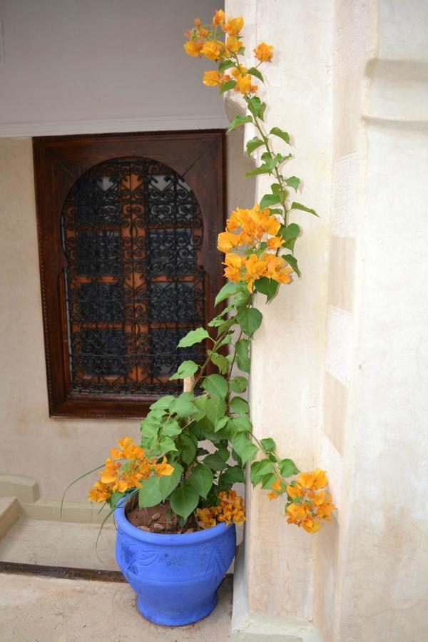 Riad Riva Marrakesh Bagian luar foto